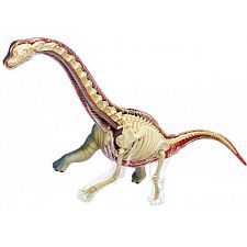 4D Vision - Brachiosaurus Anatomy Model
