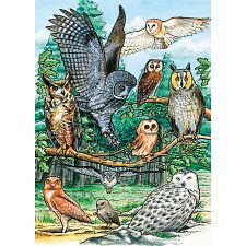 North American Owls - Tray Puzzle
